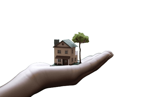 Hotel Services Sustainability Green Tree