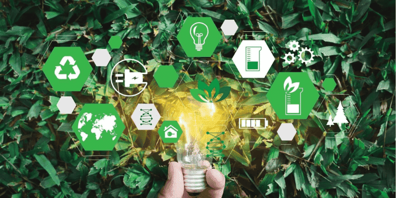 HumanusX - Revenue & Digital Growth Solutions